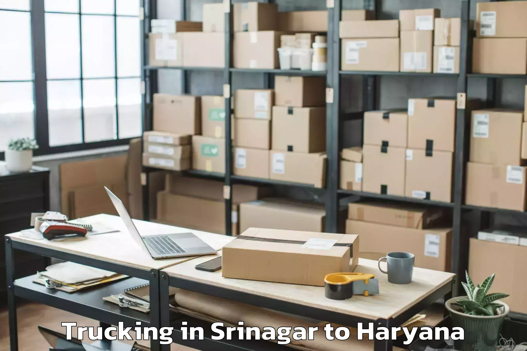 Book Srinagar to Omaxe Gurgaon Mall Trucking